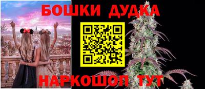 PSILOCYBIN Балаково