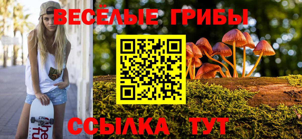 Галлюциногенные грибы GOLDEN TEACHER  дарнет шоп  Гай  Вход с VPN 