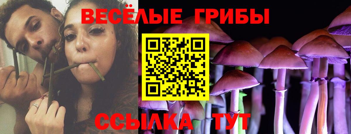 Галлюциногенные грибы Psilocybine cubensis Гай