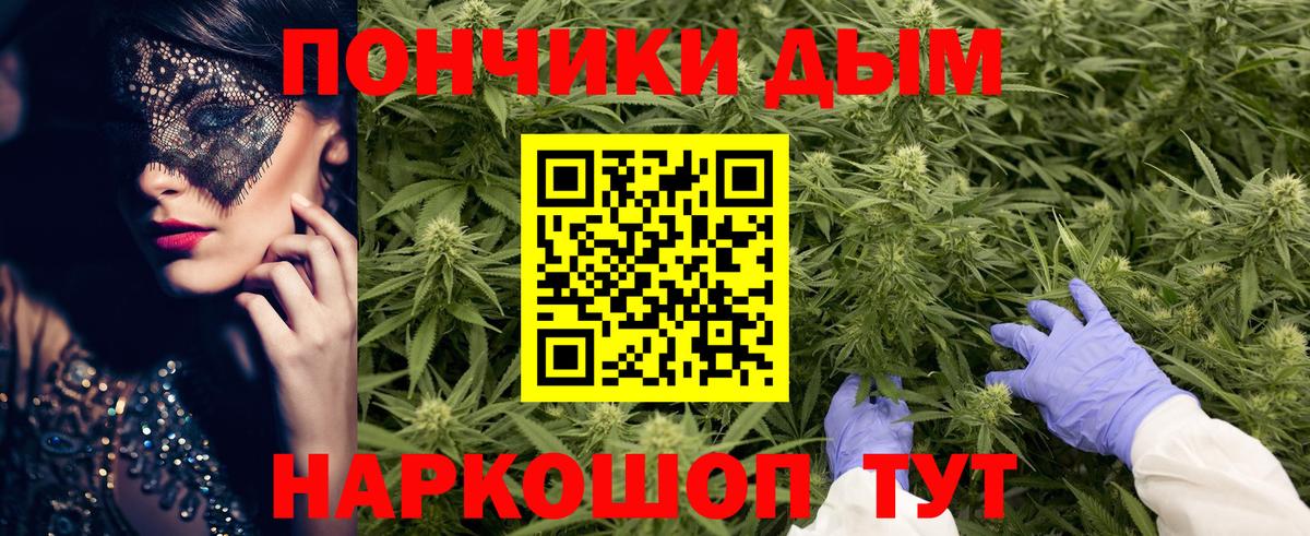 Бошки марихуана гибрид Гай